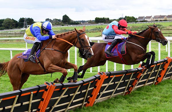 Yabo (Sean Flanagan, nearside) eventually 'nosed out' Westcoast Tiger (far-side, Keith Donoghue) at Wexford
