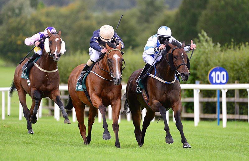 Make A Challenge (Joe Doyle, right) beat Urban Beat (Shane Foley)