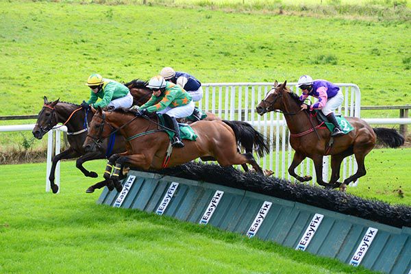 Crimson Chief (Mike O'Connor, nearside) disputes the lead at the last with Deauville Society (Darragh O'Keeffe)