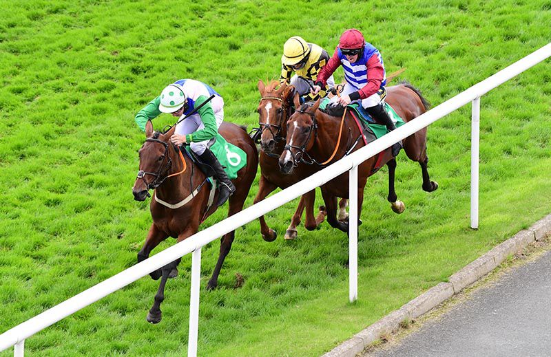 Walking Fame caused interference to two rivals when winning at Downpatrick