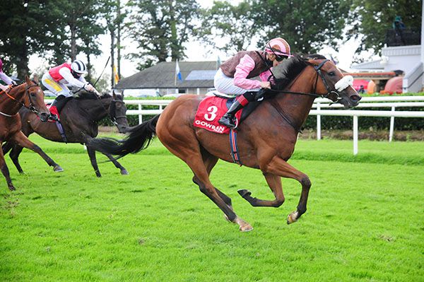 Gee Rex wins under Mikey Sheehy