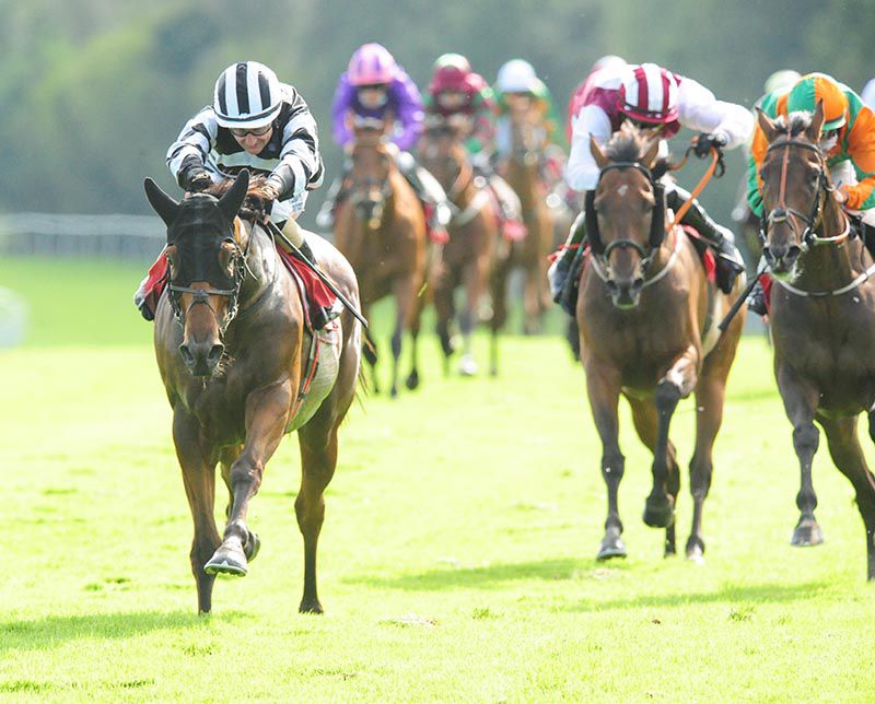 No Say Ever wins under Shane Foley