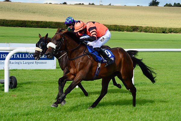 Jelona edges out Trevena