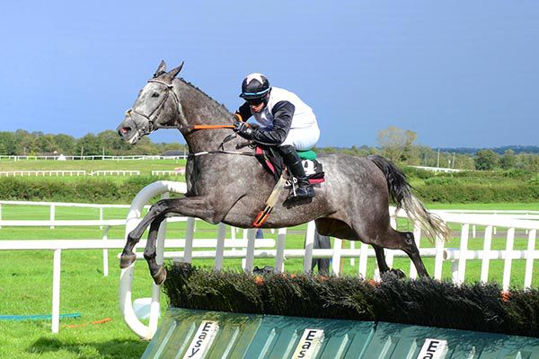           Fusain and Dylan Robinson jump the last