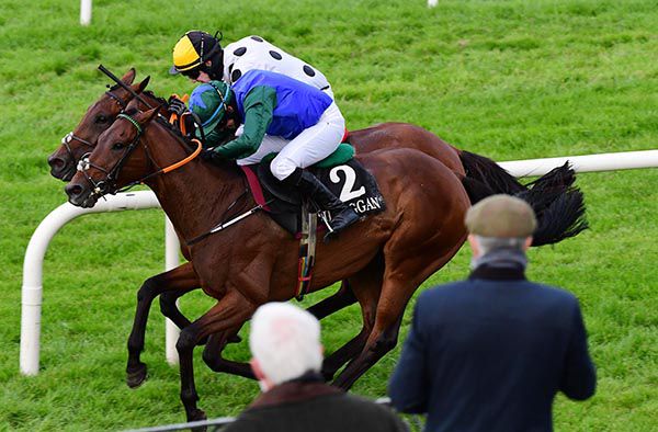 Visioman and Dylan Robinson (near side) get up to touch off stablemate Abbey Magic