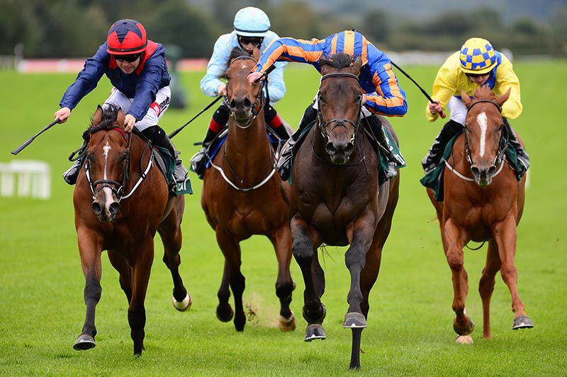 A great shot of Lipizzaner (Seamie Heffernan, 2nd from right) beating Coulthard (Leigh Roche, left)