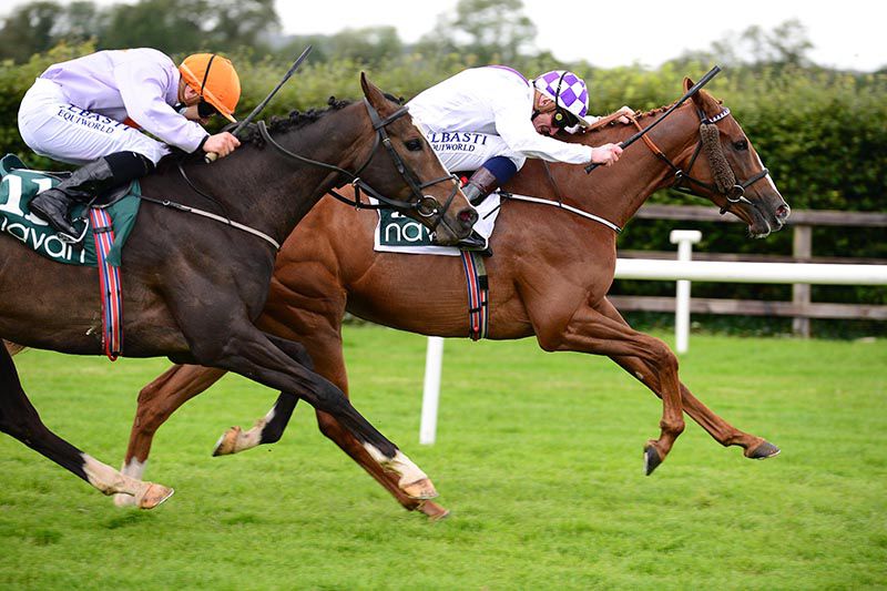 Arcland and Ronan Whelan find Paistiul and Kevin Manning too difficult to pass in race six at Navan