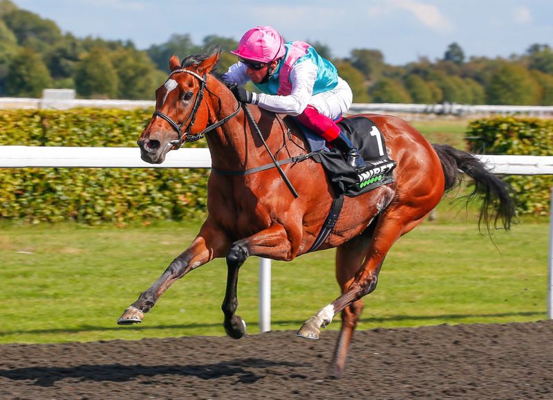 Enable