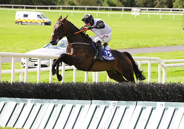   Tune The Chello and Robbie Power jump the last 