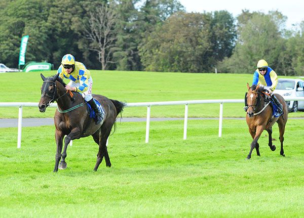 Warreedy and Derek O'Connor (left) win from Mickey Shea 