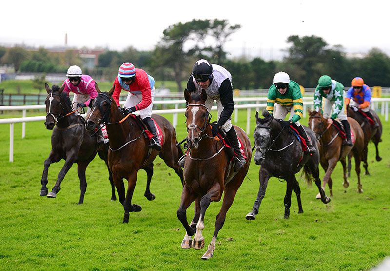 Tiger Voice shows them the way home