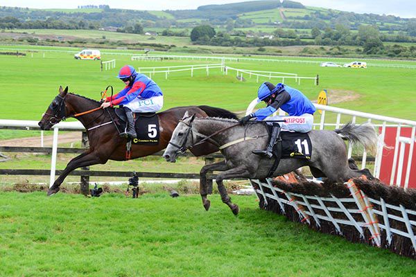 Ellie Mac and Rachael have a slight lead at the last at Punchestown