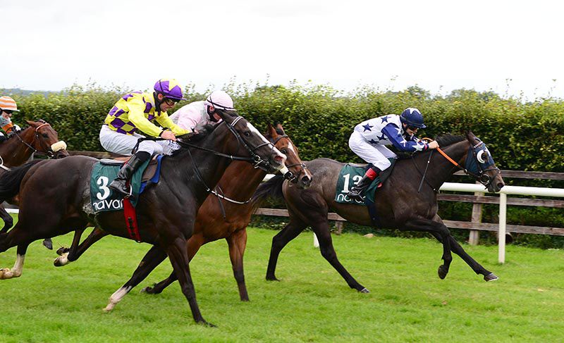 Mogwli and Jack Cleary (right) win from Inflection Point (near side)