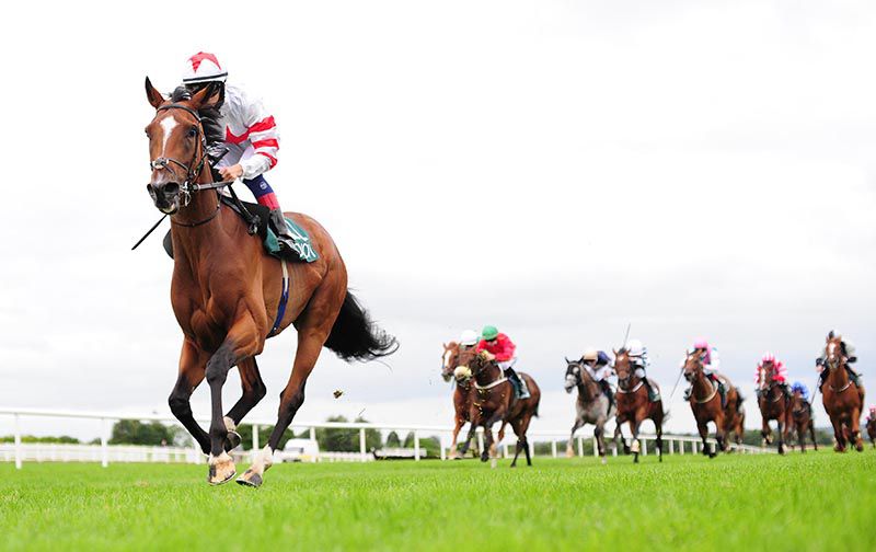 Baron Samedi goes for 4-in-a-row in today's Listowel feature