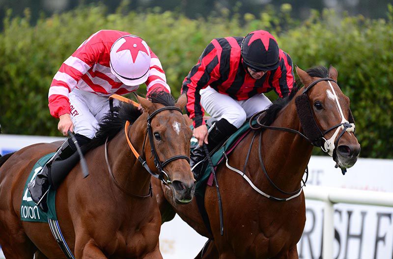 Pulsating and Tom Madden (left) win from No Way Jack