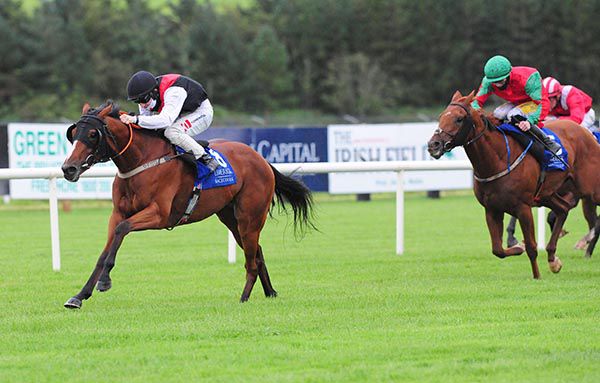 Dragon Of Malta is clear