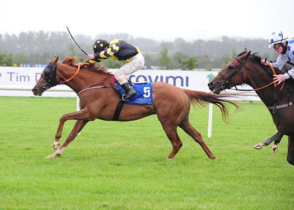 Pak Army (Rory Cleary) beats Advanced Virgo (Sam Ewing)