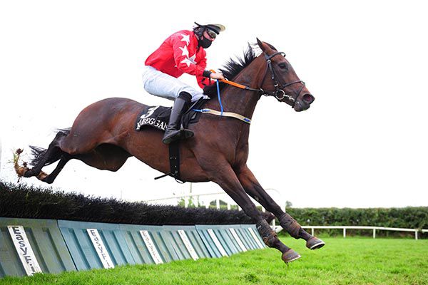 Nodoubtaboutthat and Eoin O'Connell are clear at the last