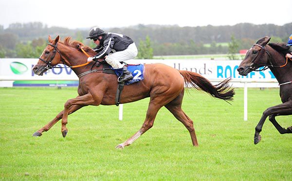 Poseidon wins under Sam Ewing