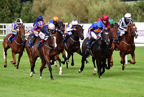 Champers Elysees (beige cap) beats Peaceful (blue cap) in the Matron Stakes at Leopardstown