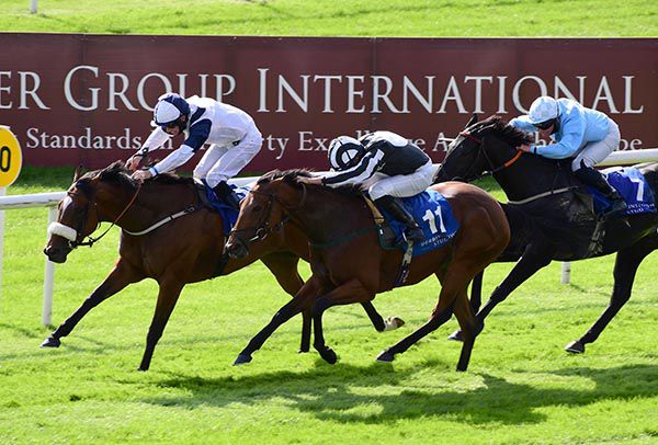 Glass Slippers (Tom Eaves) beats Keep Busy (Ryan Moore) and Maid In India (Seamie Heffernan)