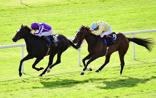 Shale beating Pretty Gorgeous in the Moyglare Stud Stakes