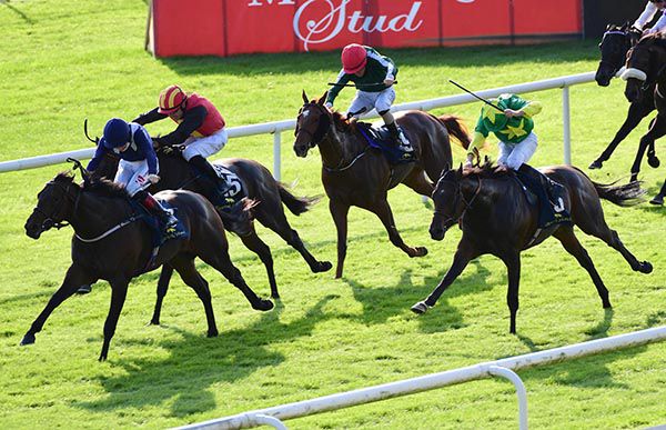 Shark Two One leads them home under Colin Keane as Star Of Orion (Ryan Moore, green and yellow) thunders home