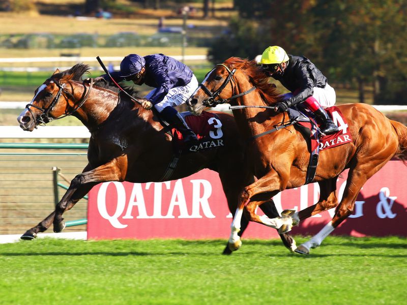 Anthony Van Dyck (left), seen winning the Prix Foy in September, has been drawn three in the Lexus Melbourne Cup