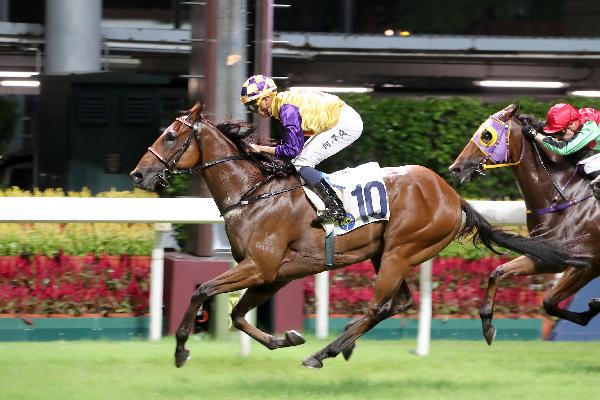 Eternal Harvest is on-the-up.