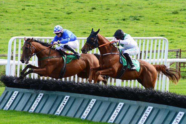Ardaghs Choice and Kevin Sexton lead Knot On Time and Sean O'Keeffe home at Downpatrick