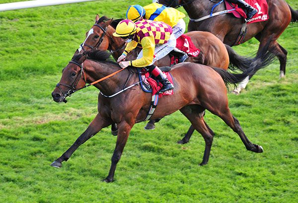 Everyhouronthehour and Colin Keane