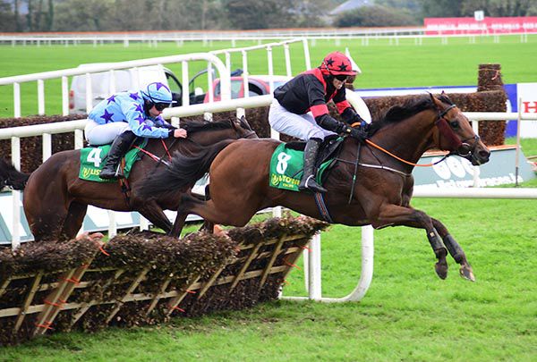 Politicise and Darragh O'Keeffe lead Anna Bunina and Simon Torrens home