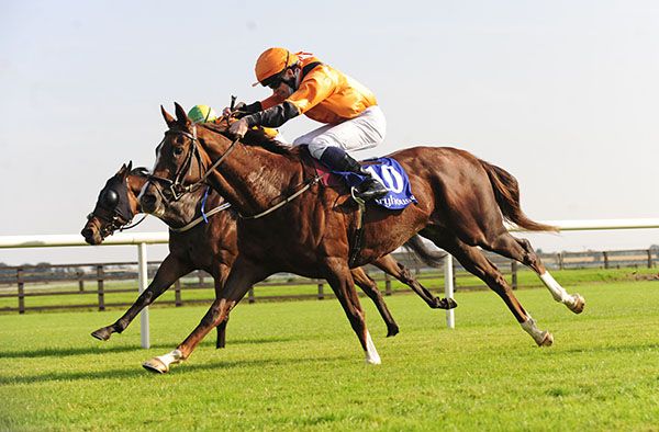 Sure Cert wins under Luke McAteer