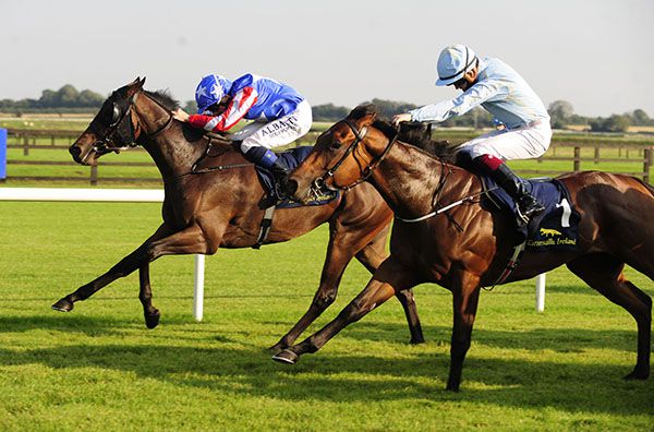 Dreams Delivered (Chris Hayes) beats Tar Heel (Mikey Sheehy)