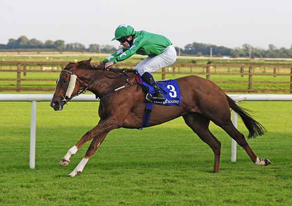 That's Not Me wins under Luke McAteer