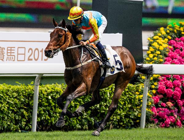 Ka Ying Star is looking to upset the big two on Sunday.