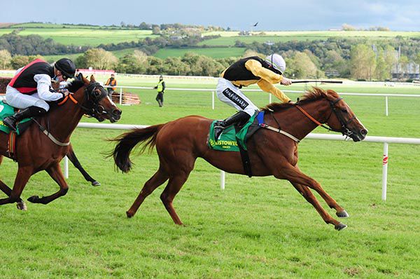 Ramiro (Gearoid Brouder) gallops on from Dragon Of Malta (Shane Crosse)