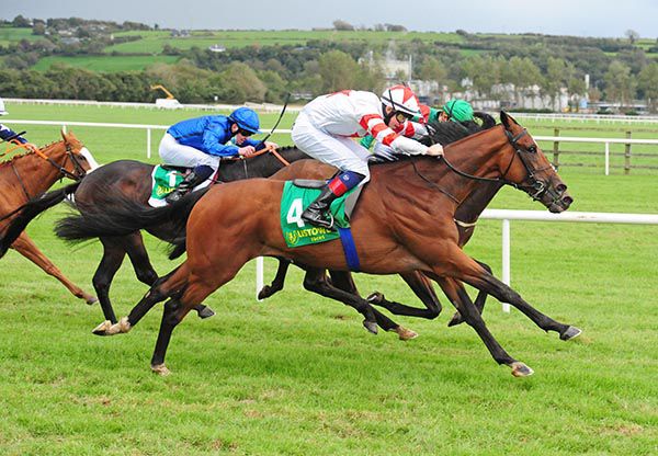 Baron Samedi comes home best to win under Dylan Browne McMonagle