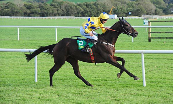 Brooklynn Glory strides clear