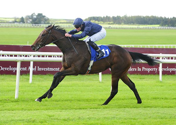 Irishracing Com News Santa Barbara Seeking Beverley D Win