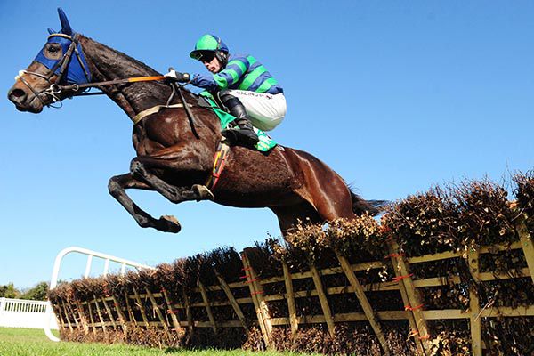 Annie Pender and Denis O'Regan jump the last