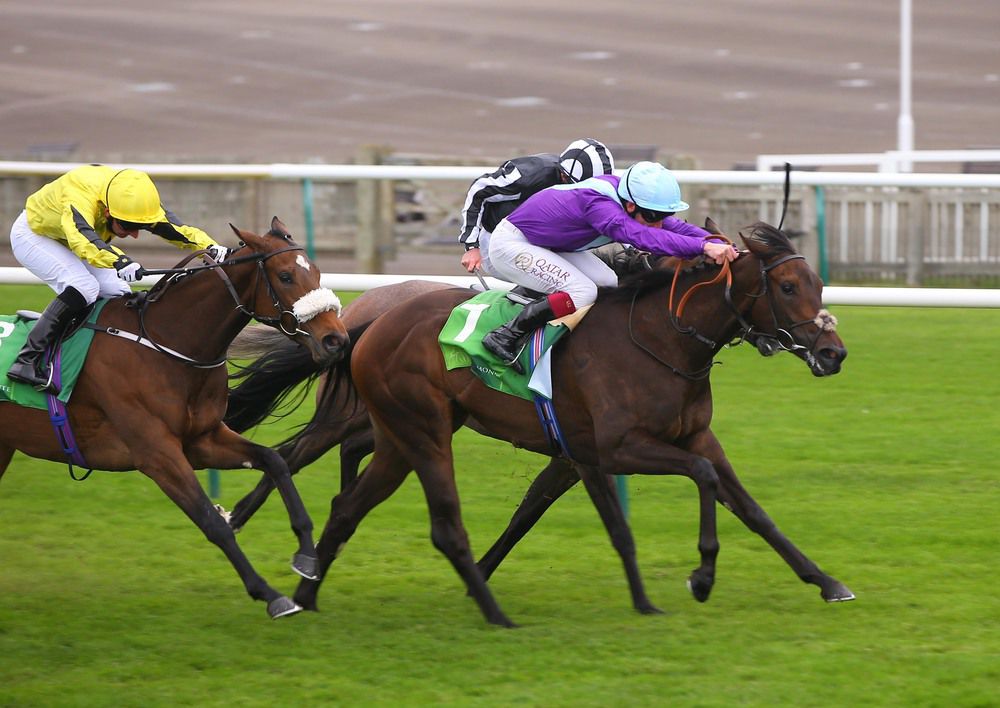 Alcohol Free and Oisin Murphy