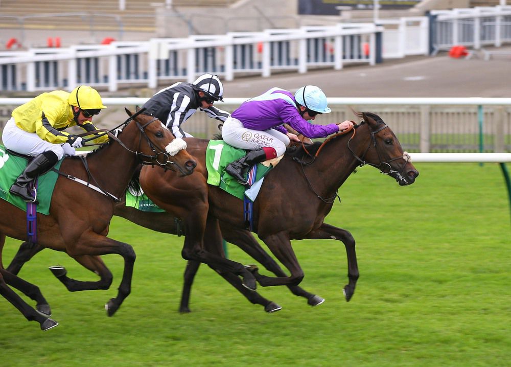 Miss Amulet (centre) was beaten half a length when runner-up to Alcohol Free in the Cheveley Park Stakes