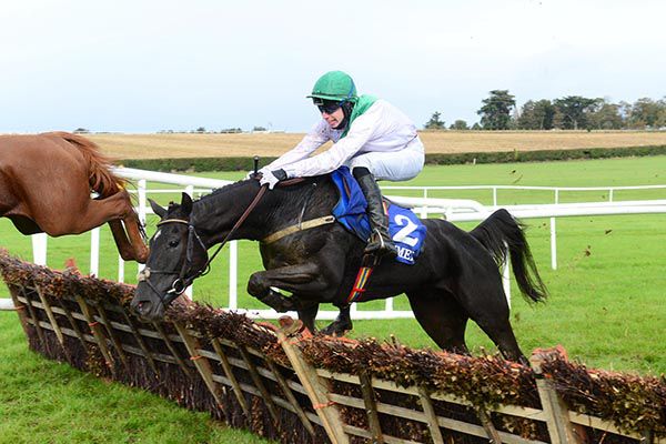 Casamari Abbey and Richie Condon jump the last