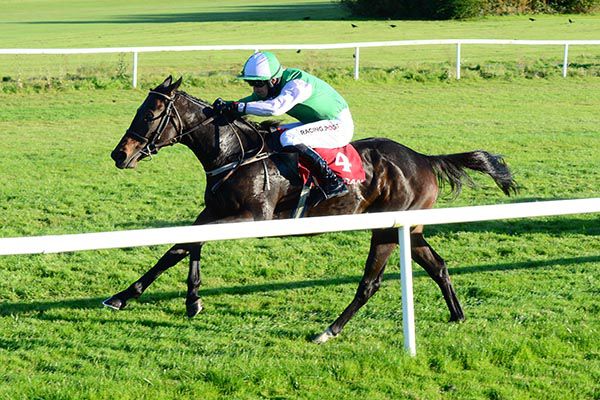 Purple Mountain and Patrick Mullins