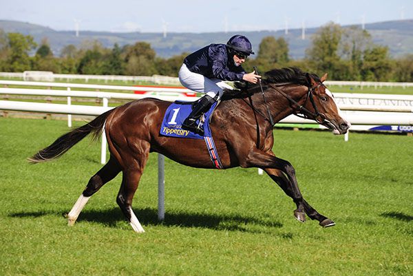 Carlisle Bay leads the way