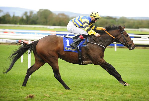 Bardo Contiguo in charge at Tipperary