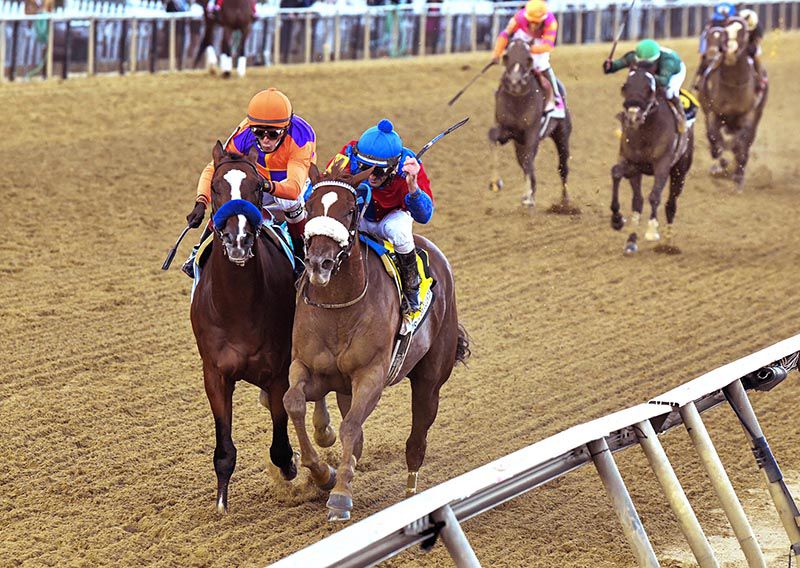 Swiss Skydiver (right) beats Authentic in the Preakness