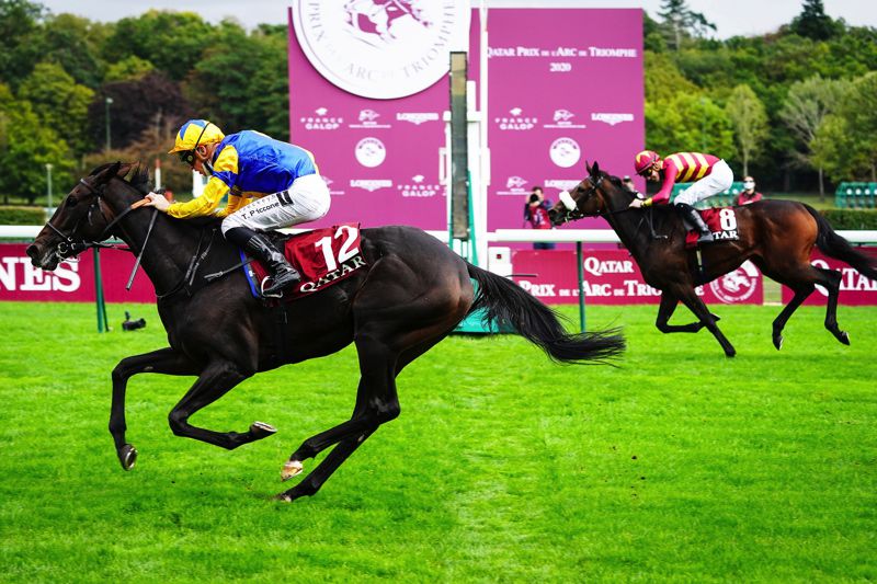 Wonderful Tonight winning at ParisLongchamp last year
