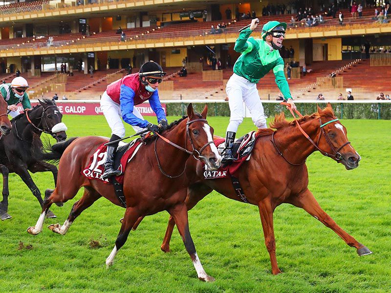 In Swoop, left, finishing second in last year's Arc